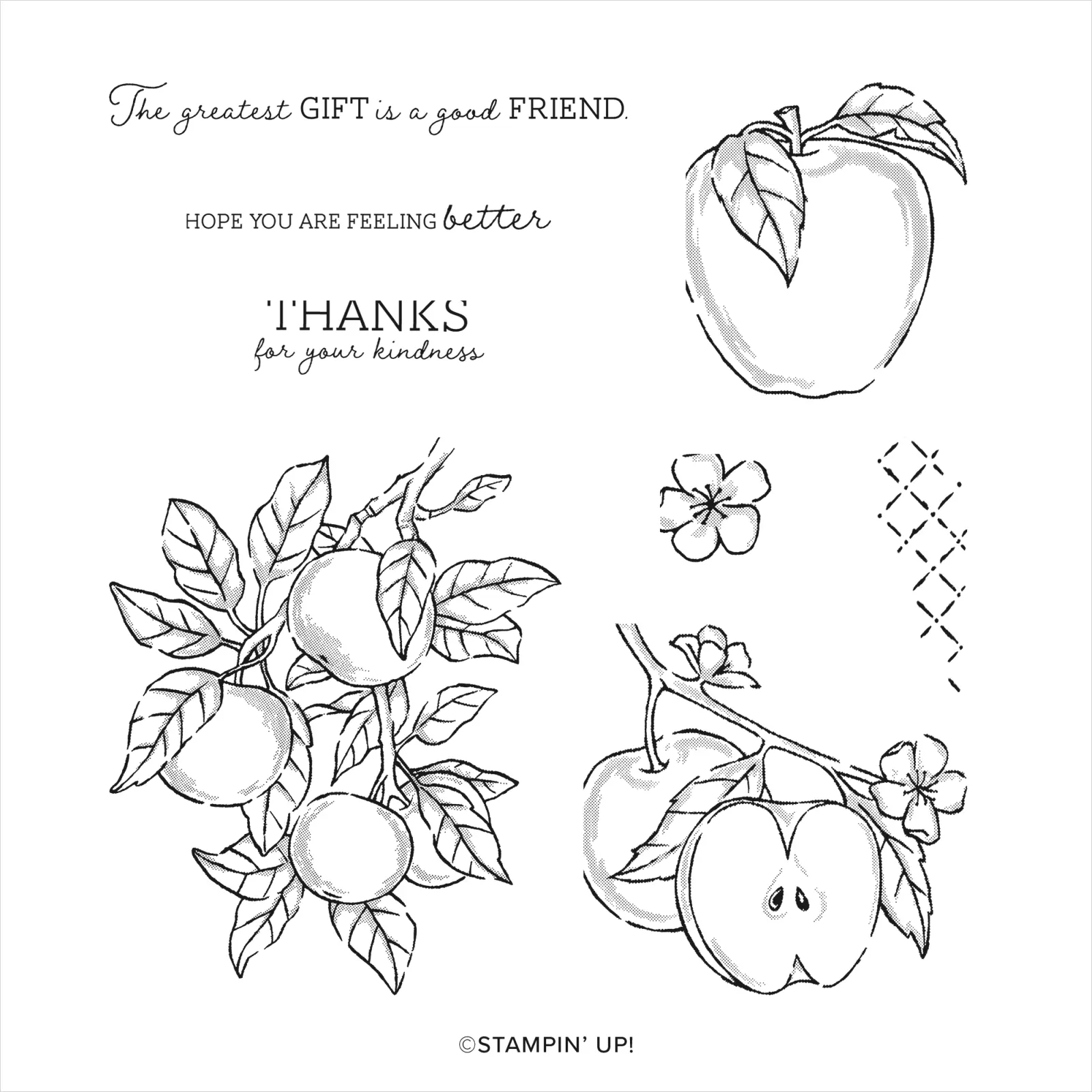 Apple Harvest Stamp Set