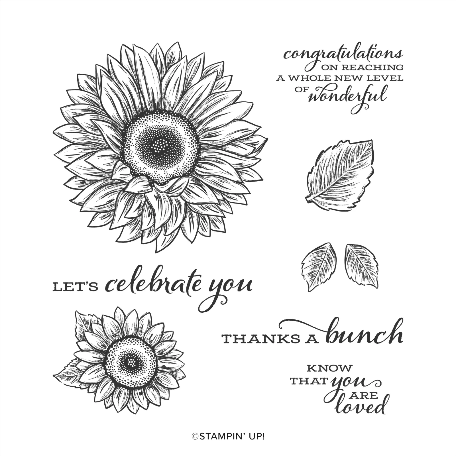 Celebrate Sunflowers Stamp Set