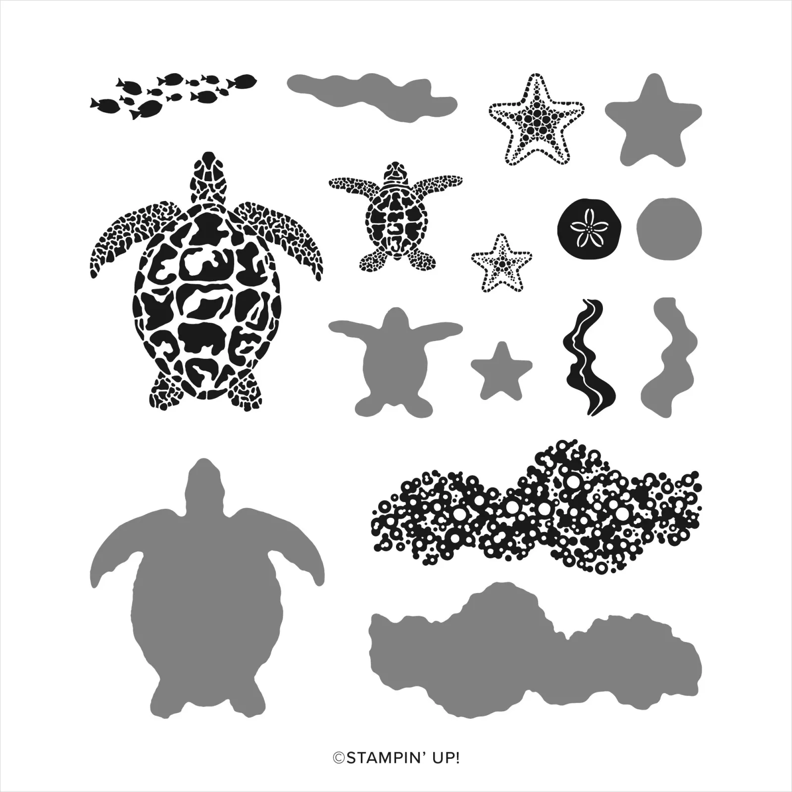 Sea Turtle Stamp Set